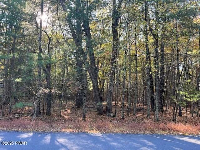 Vacant Land in Dingmans Ferry - Dingmans Ferry, Pennsylvania, 18328