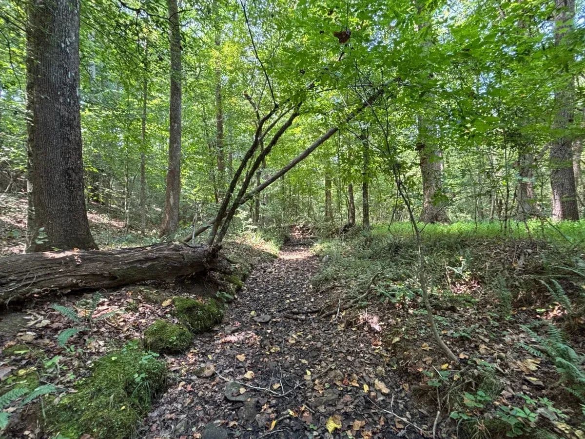 Simlin Creek North - Robbins, North Carolina, 27325
