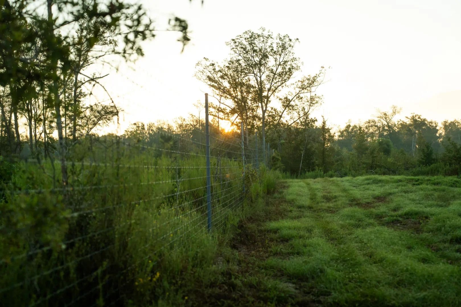 678 Acres with a Lodge in Jackson Parish, LA  - Quitman, Louisiana, 71268