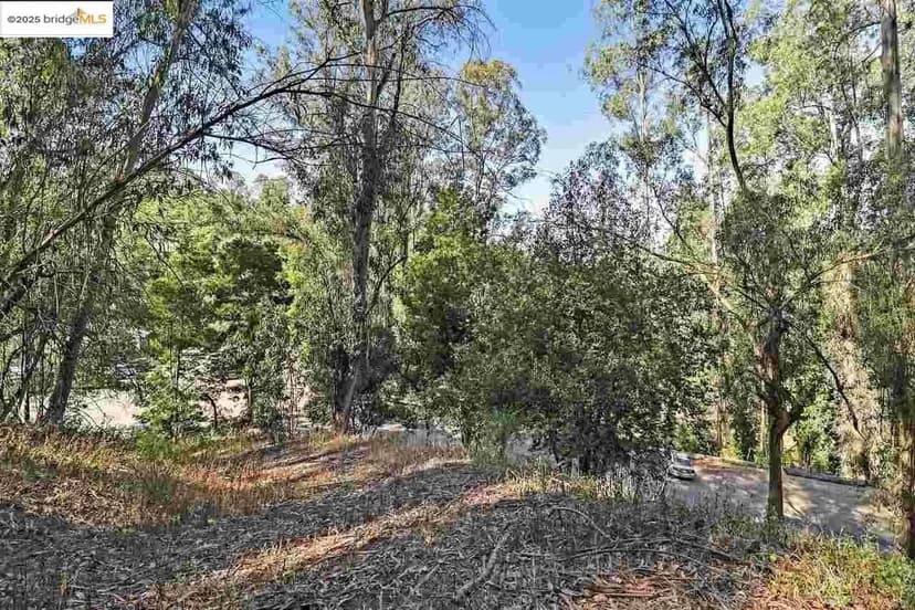 Vacant Land in Oakland