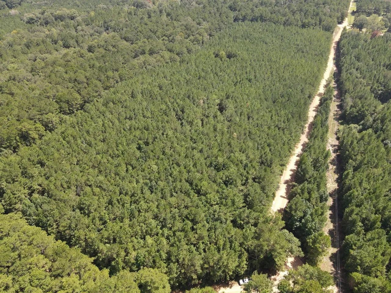 16.2 Acres-Smithdale,MS - Smithdale, Mississippi, 39664