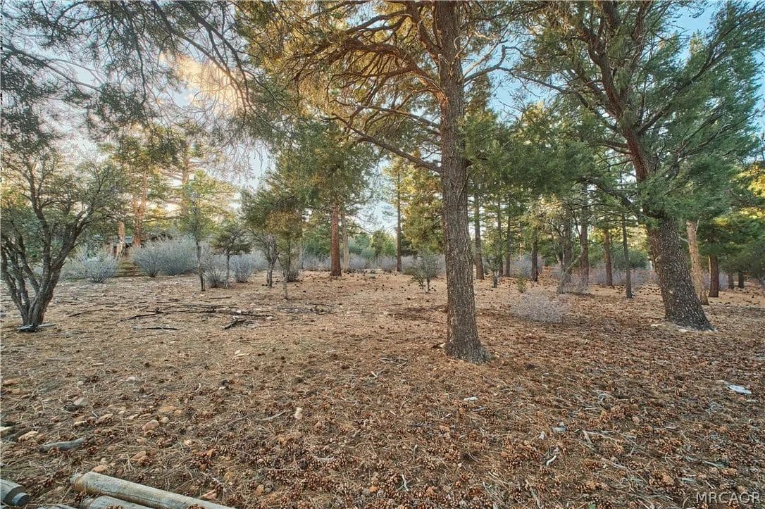 Property from 660 Cedar Glen Drive - KW - Big Bear City, California, 92314