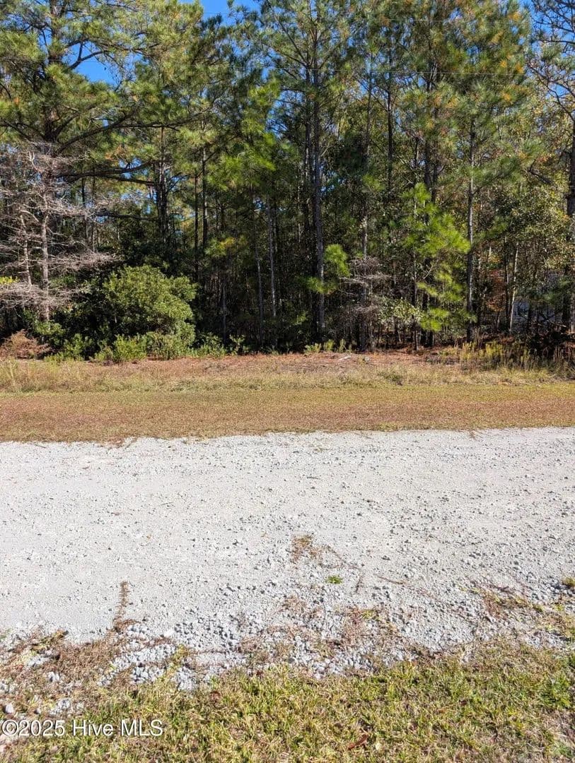 Lots & Land-Other in Shallotte