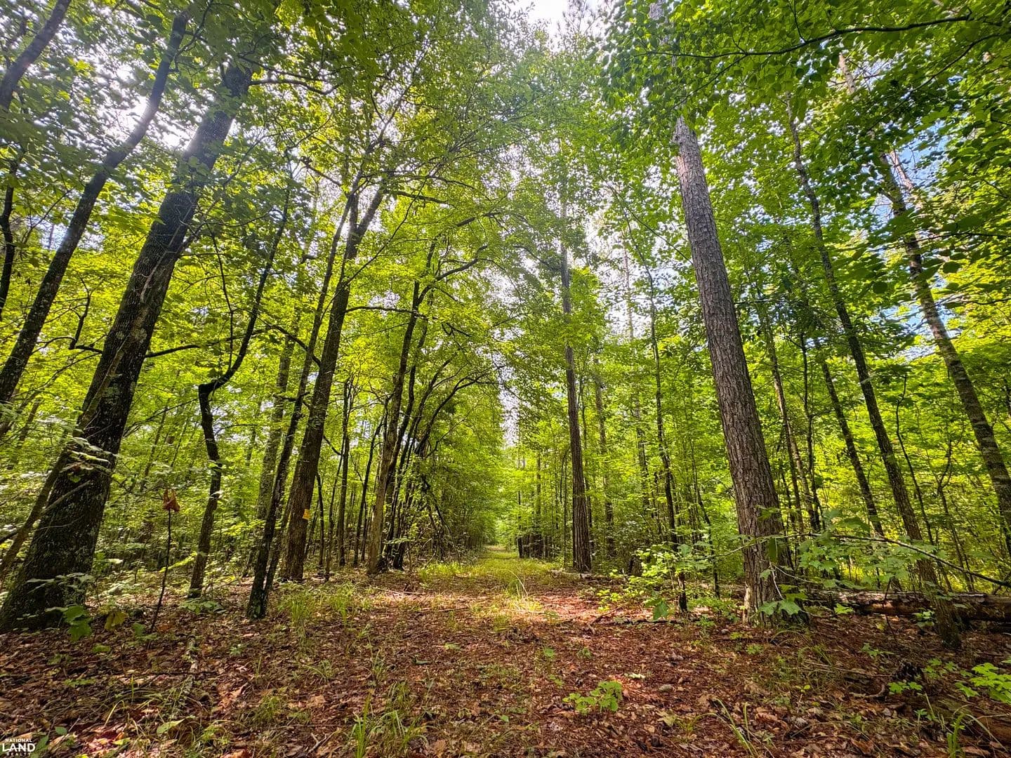Investment, Recreation Near Lake Martin - Dadeville, Alabama, 36853