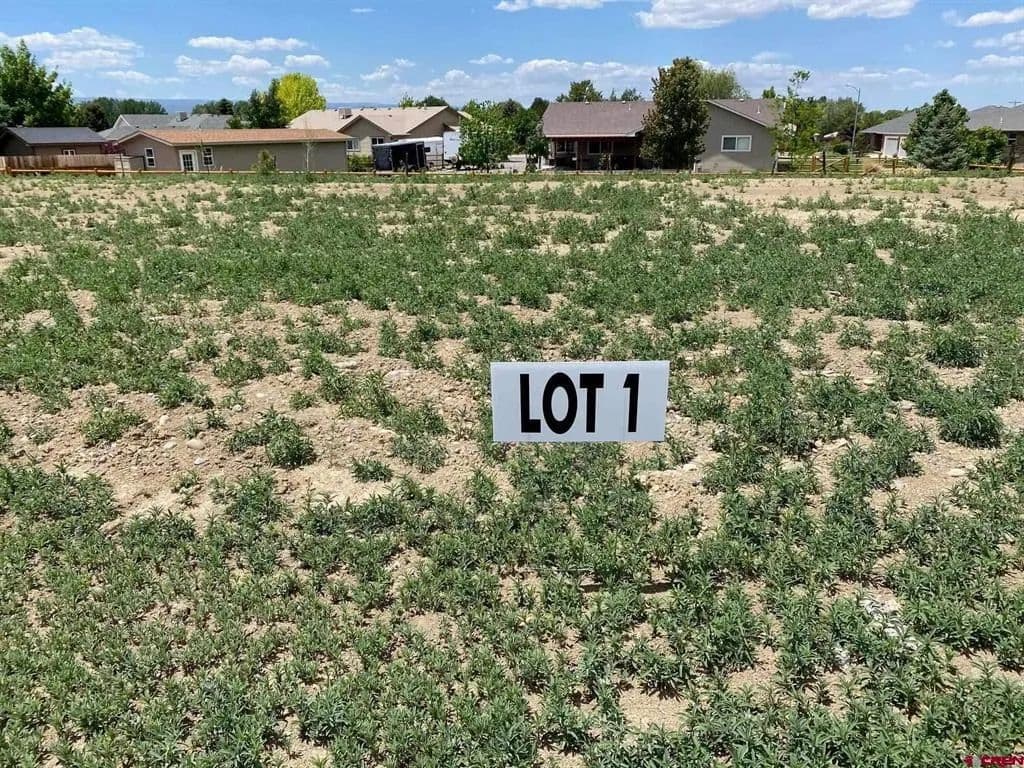 Vacant Land in Montrose - Montrose, Colorado, 81401