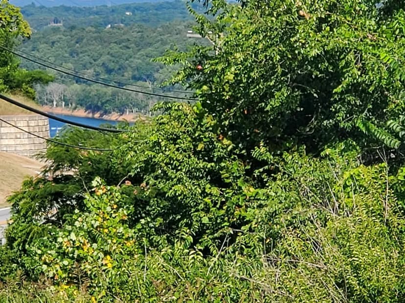 Property from 16500 State Hwy 160 Highway - KW