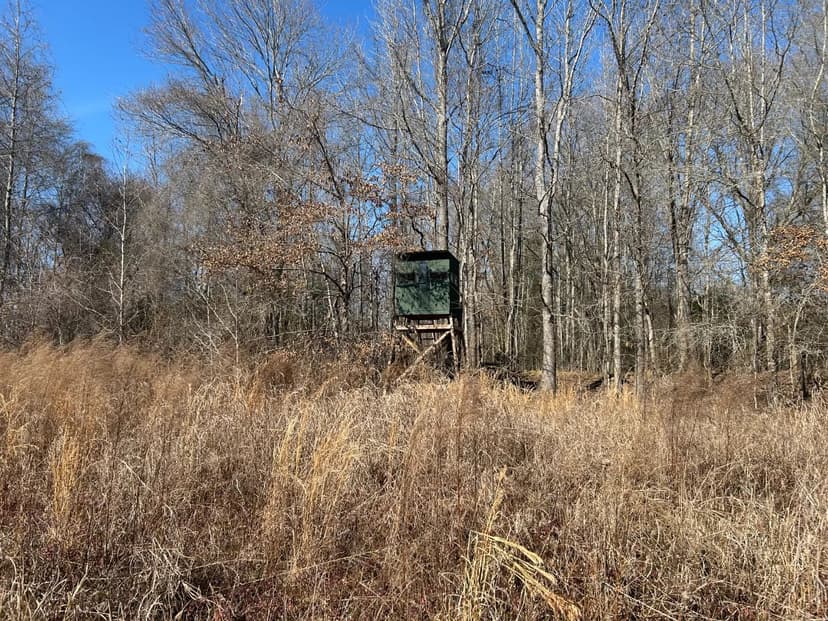 34.91 Acres in Yazoo County, MS 