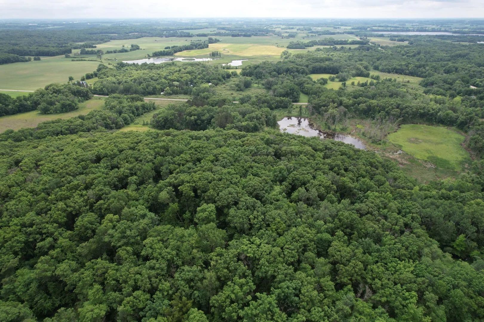 33.77 Acres of Land for Sale in Burtrum, MN - Burtrum, Minnesota, 56318