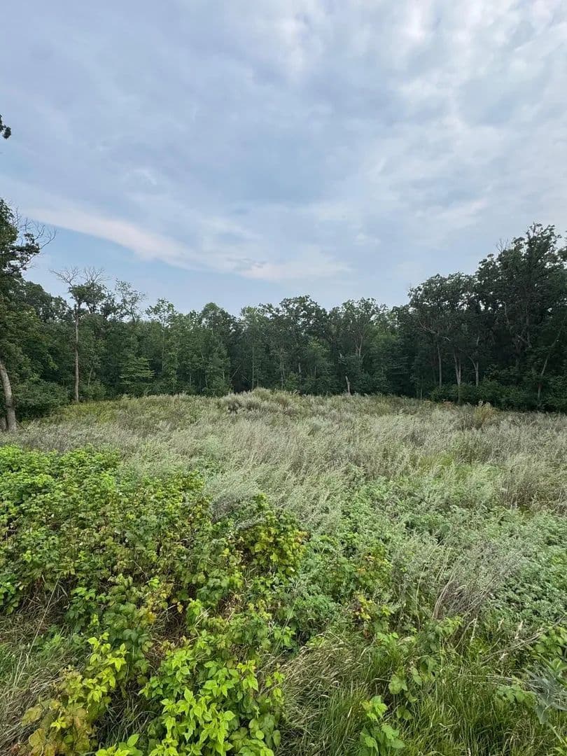 Lots & Land-Other in Detroit Lakes