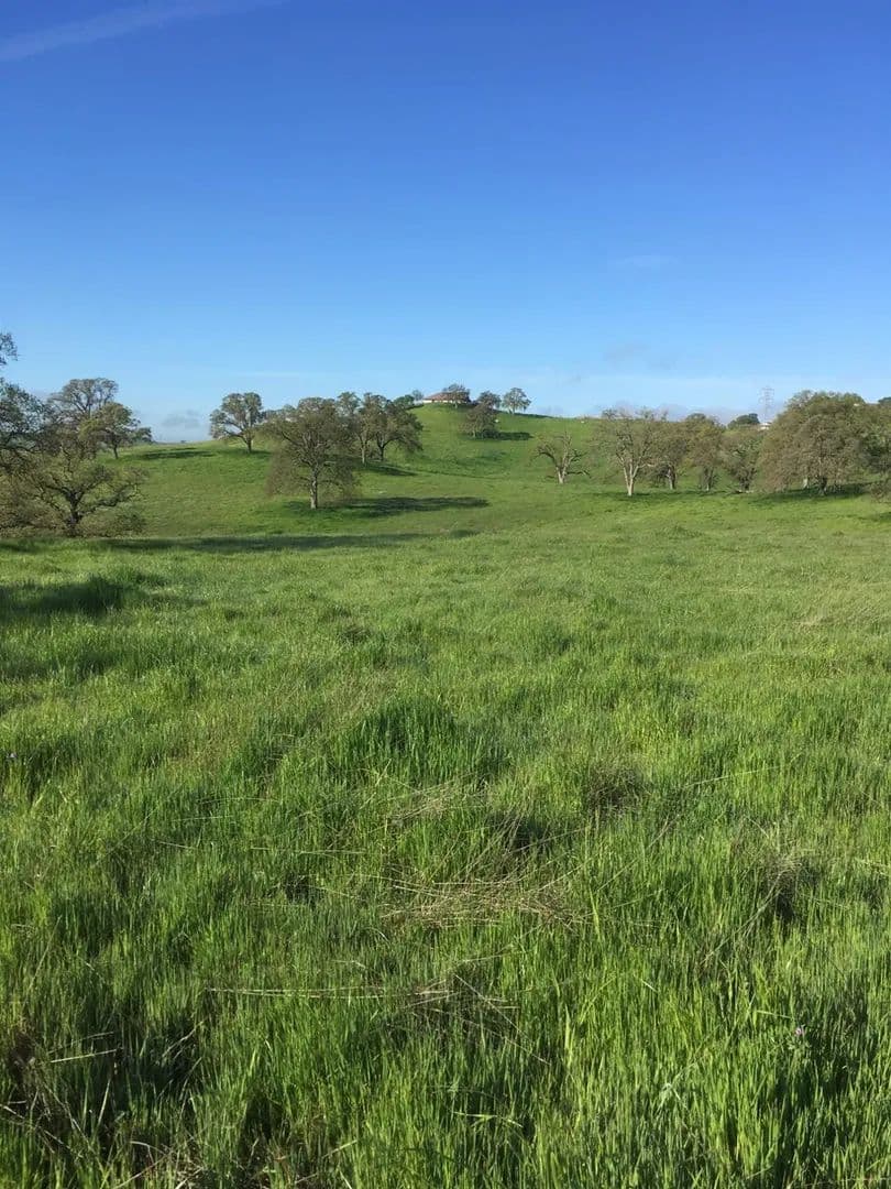 Property from 10232 Gregory Road #10440 - KW - Valley Springs, California, 95252