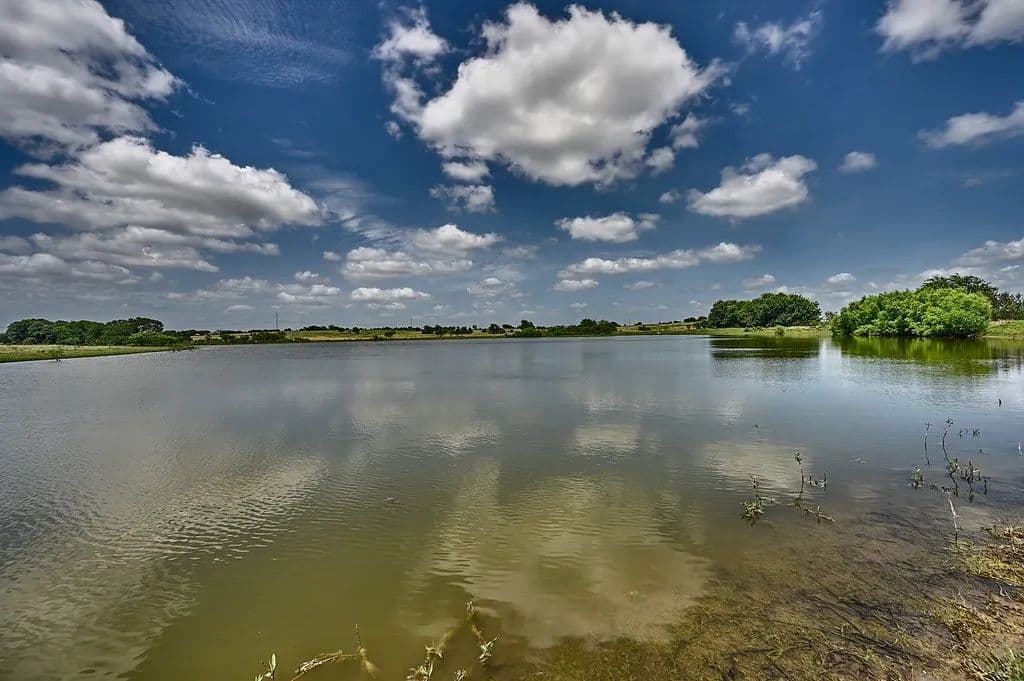 Premier Fayette County Ranch Estate | Weimar, Texas - Weimar, Texas, 78962