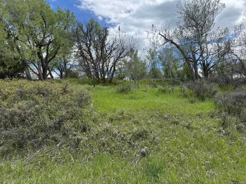 TBD W Ryus, La Veta, CO 81055