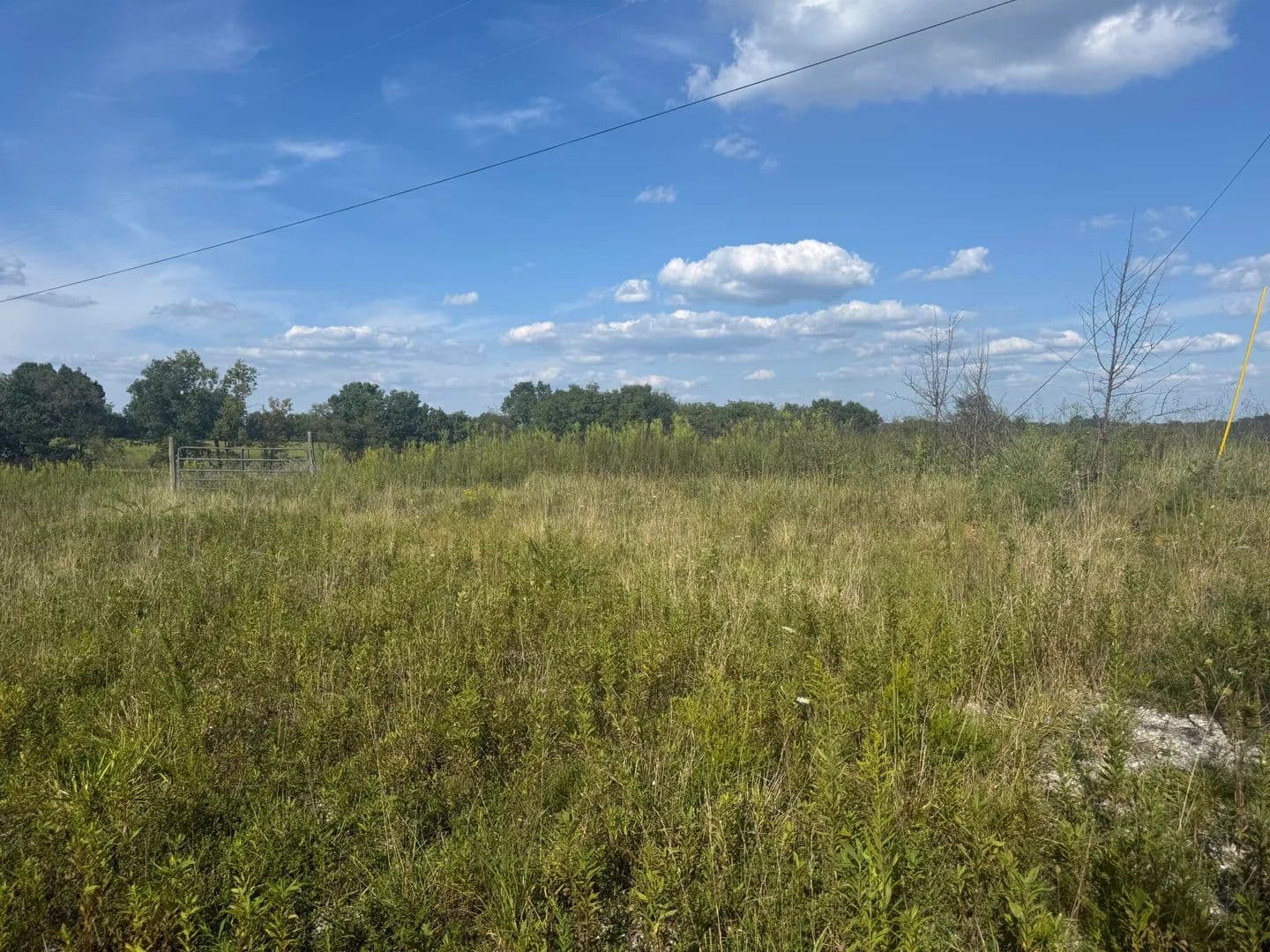 Vacant Land in Falmouth - Falmouth, Kentucky, 41040