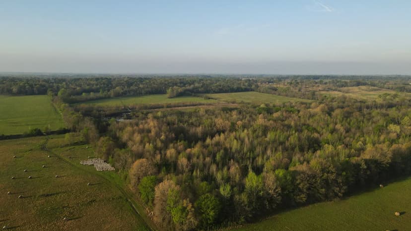 127 Acres with a Cabin in Hempstead County, AR 