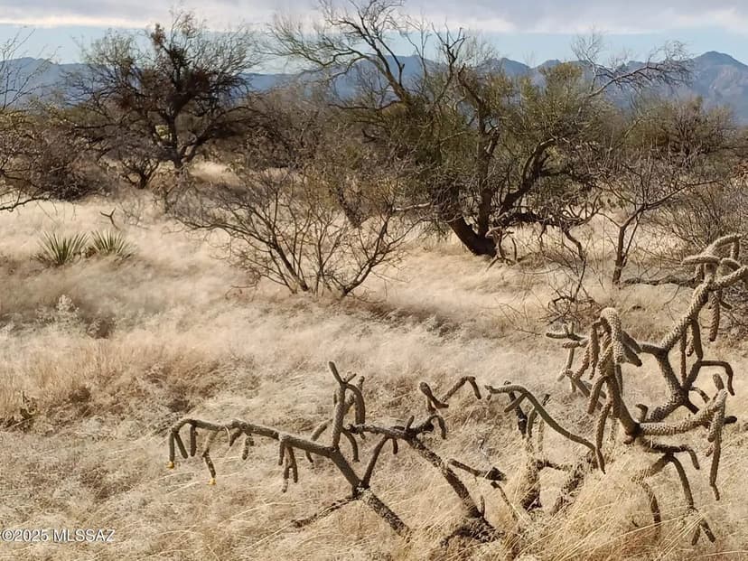 Vacant Land in Tucson