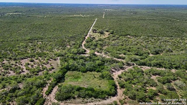 Vacant Land in Beeville