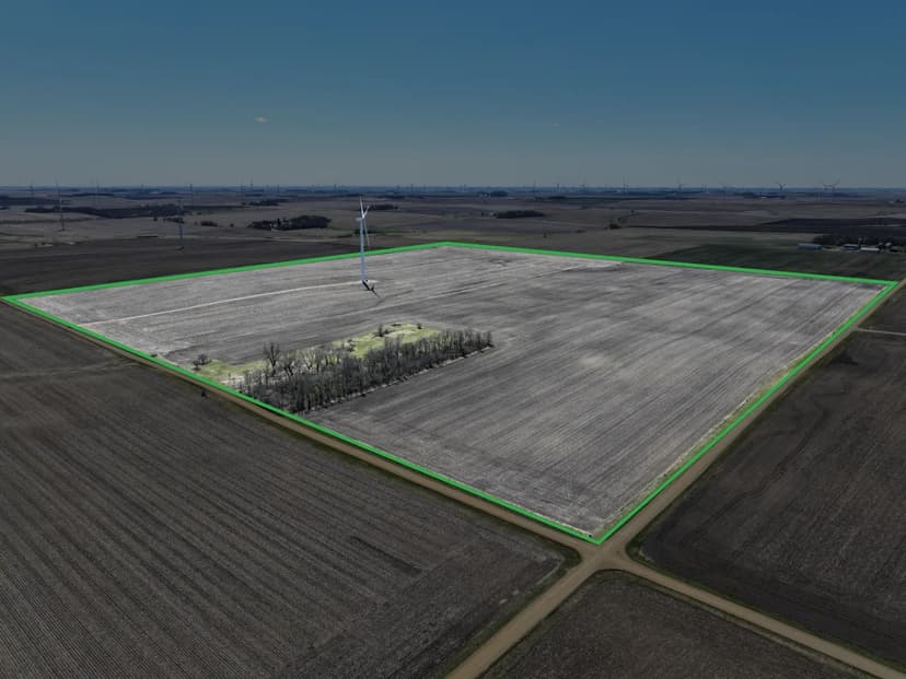 160± Acre Farm Auction Murray County, Minnesota