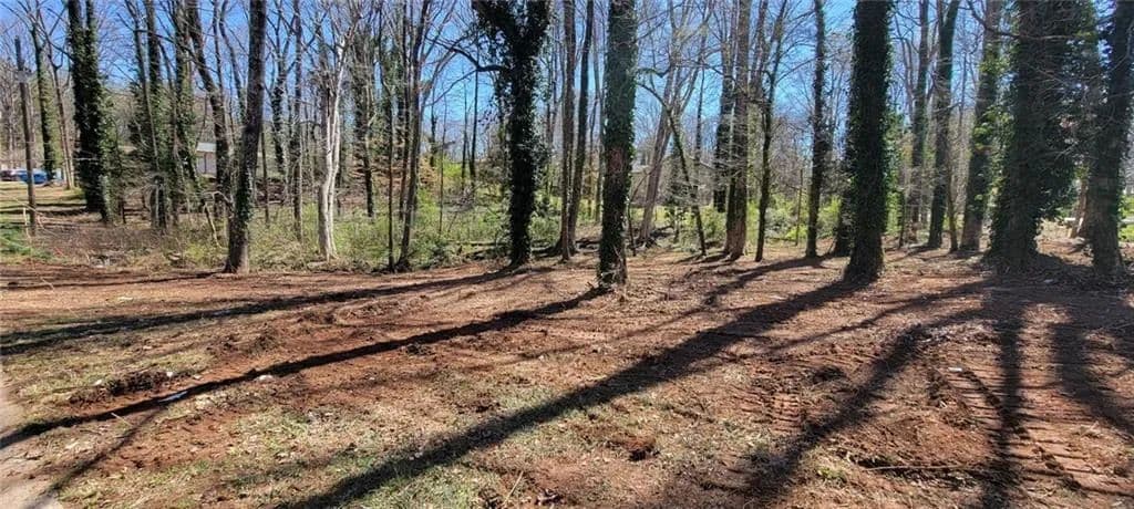 Vacant Land in Douglasville - Douglasville, Georgia, 30135