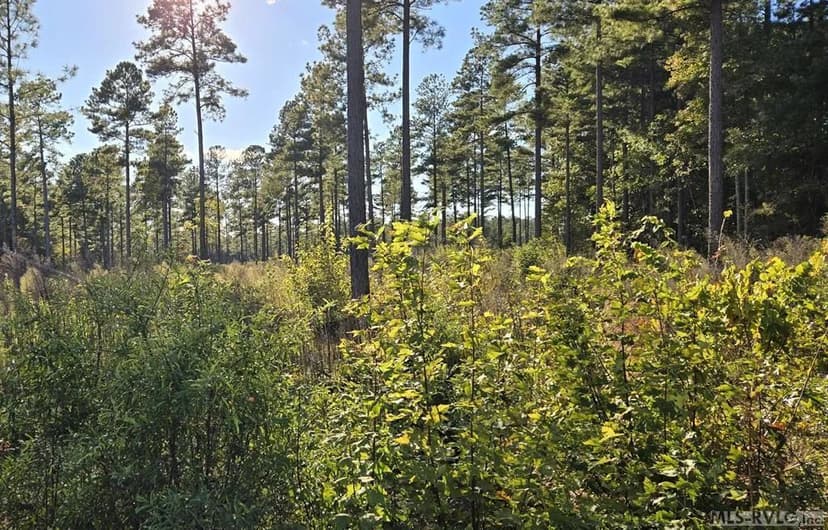 Vacant Land in Lawrenceville