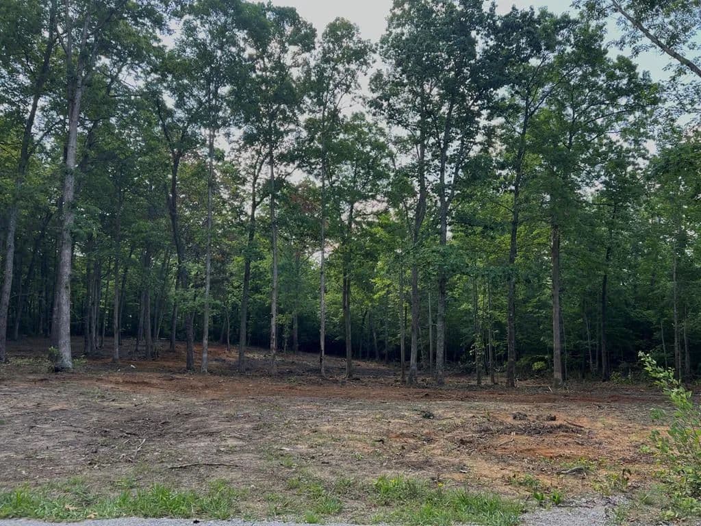 Property from 367 Hillis Cemetery Rd - KW - Spencer, Tennessee, 38585