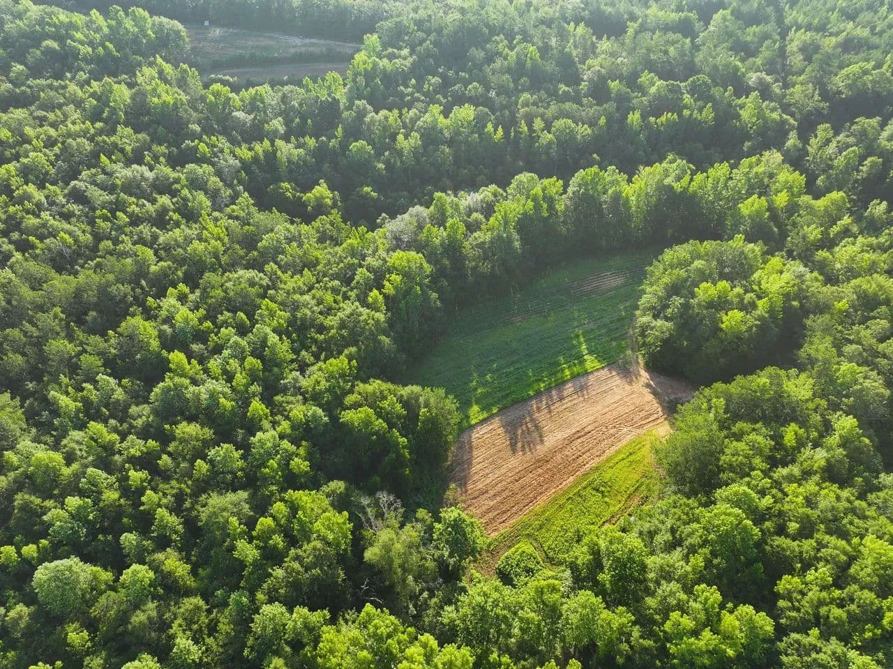 Multiple Homesites and Premium Hunting/Recreational Retreat - Marbury, Alabama, 36051