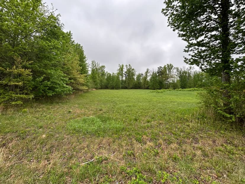 0.95 Acres (LOT 8C) in Polk County, AR