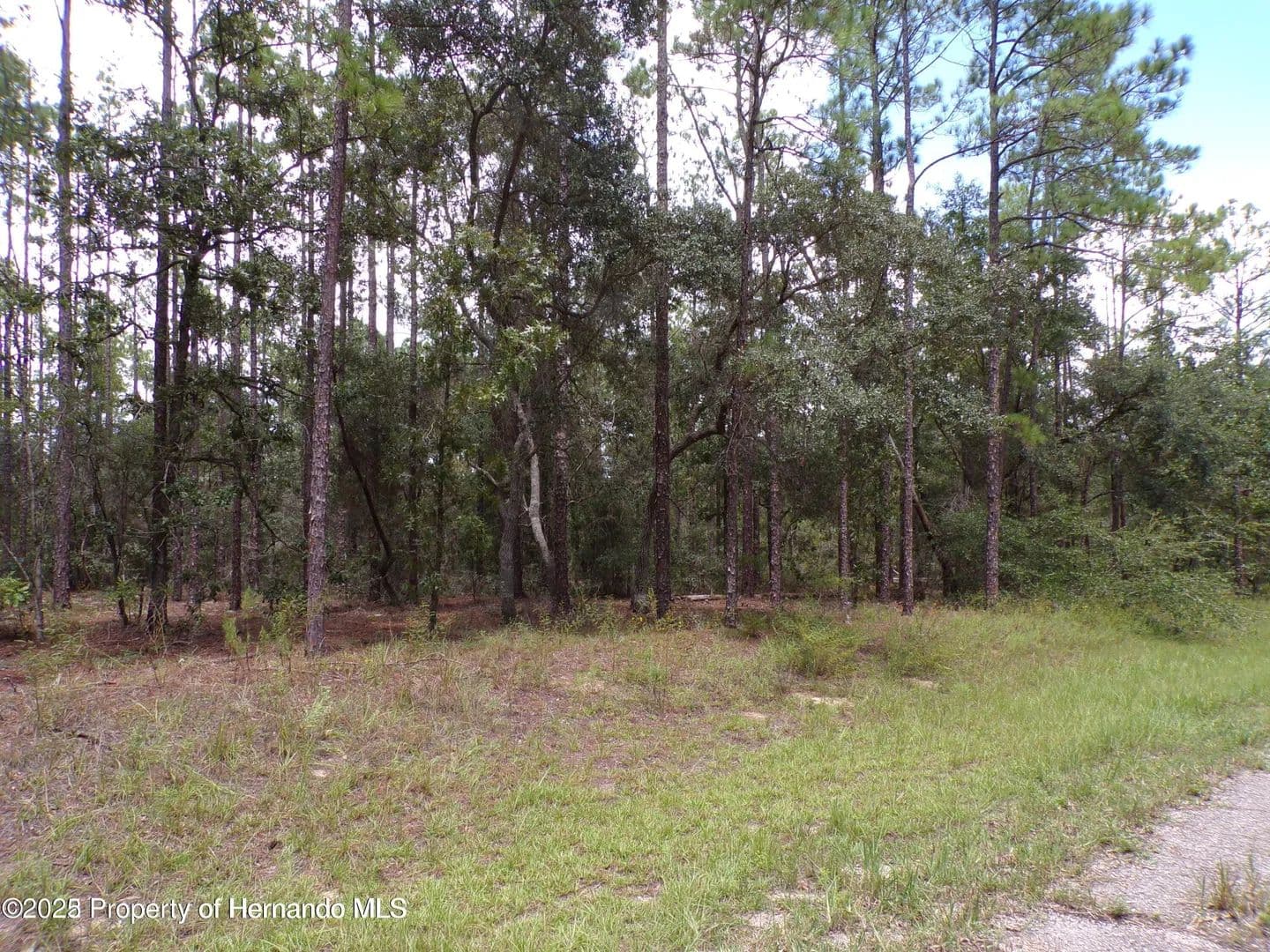 Vacant Land in Citrus Springs - Citrus Springs, Florida, 34434