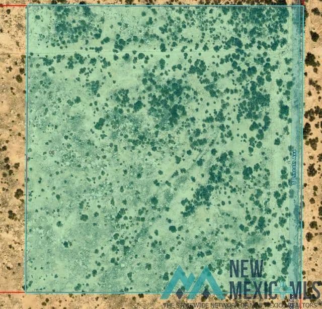 Property from 0000 S: 6 T: 15s R: 26e Ne4ne4se4 - KW - Lake Arthur, New Mexico, 88253