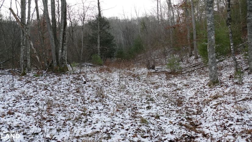 Secluded 10 Acre Cabin Site- Lot 2