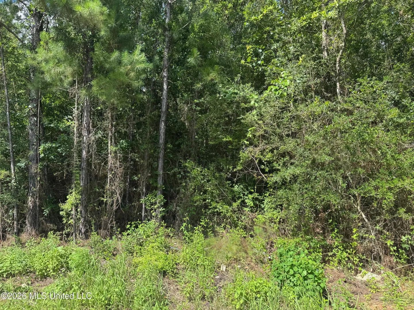 Vacant Land in Saucier - Saucier, Mississippi, 39574