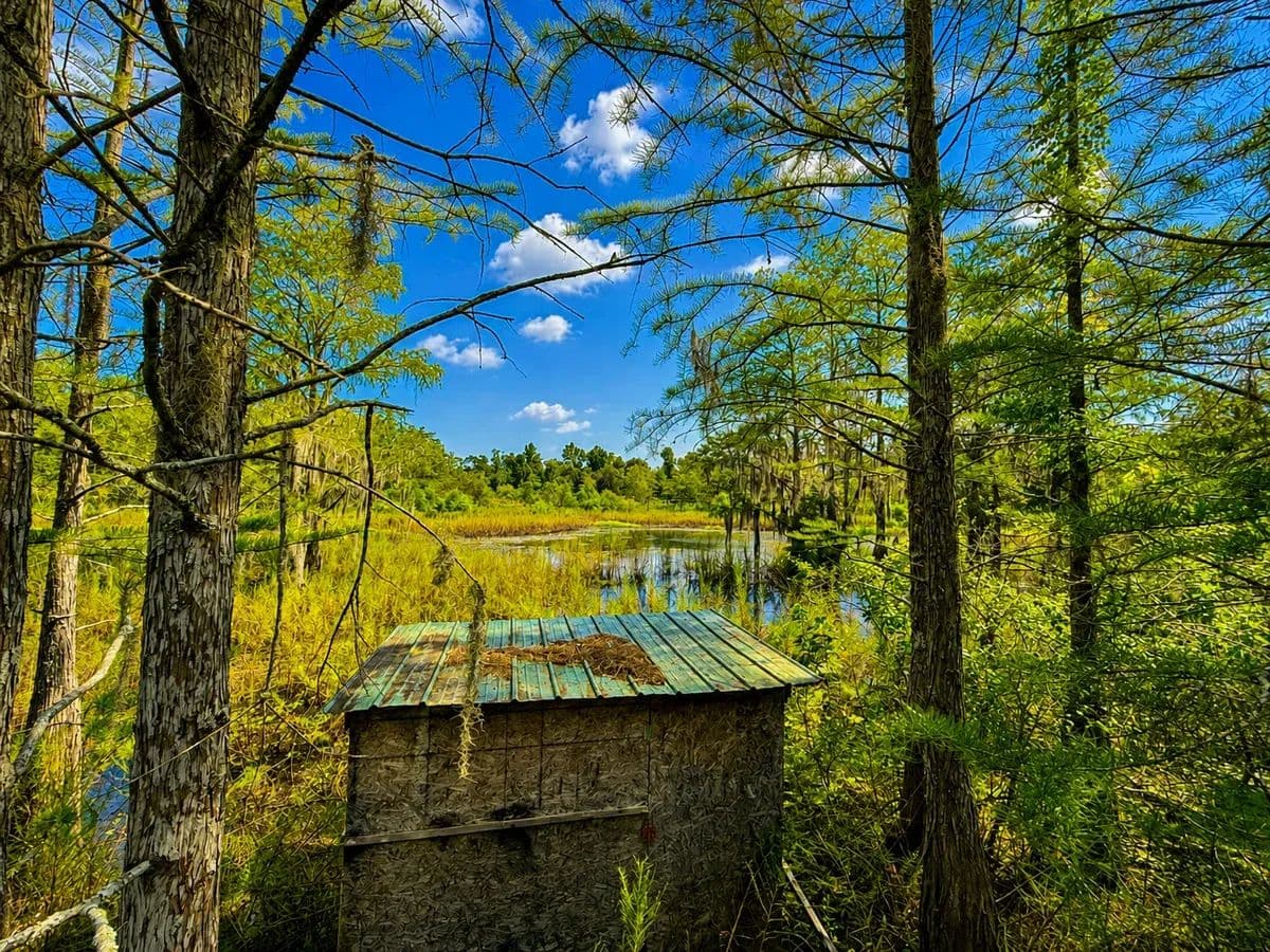 Dellwood Farm - land for sale
