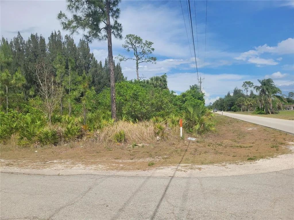 Vacant Land in Lehigh Acres - Lehigh Acres, Florida, 33936