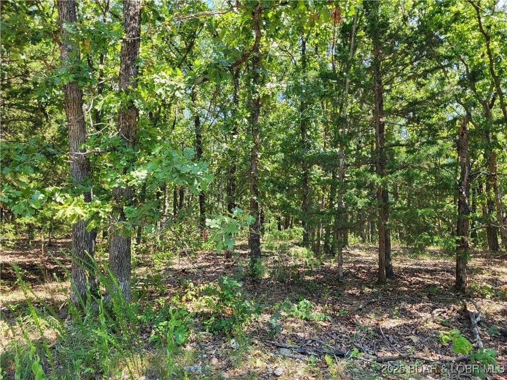 Lots & Land-Other in Edwards - Edwards, Missouri, 65326
