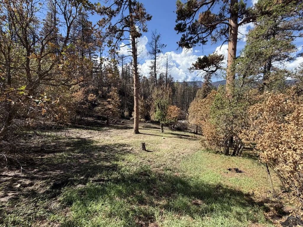 Vacant Land in Beulah - Beulah, Colorado, 81023