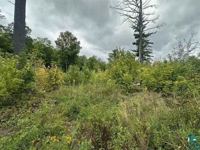 Vacant Land in Cloquet - Cloquet, Minnesota, 55720