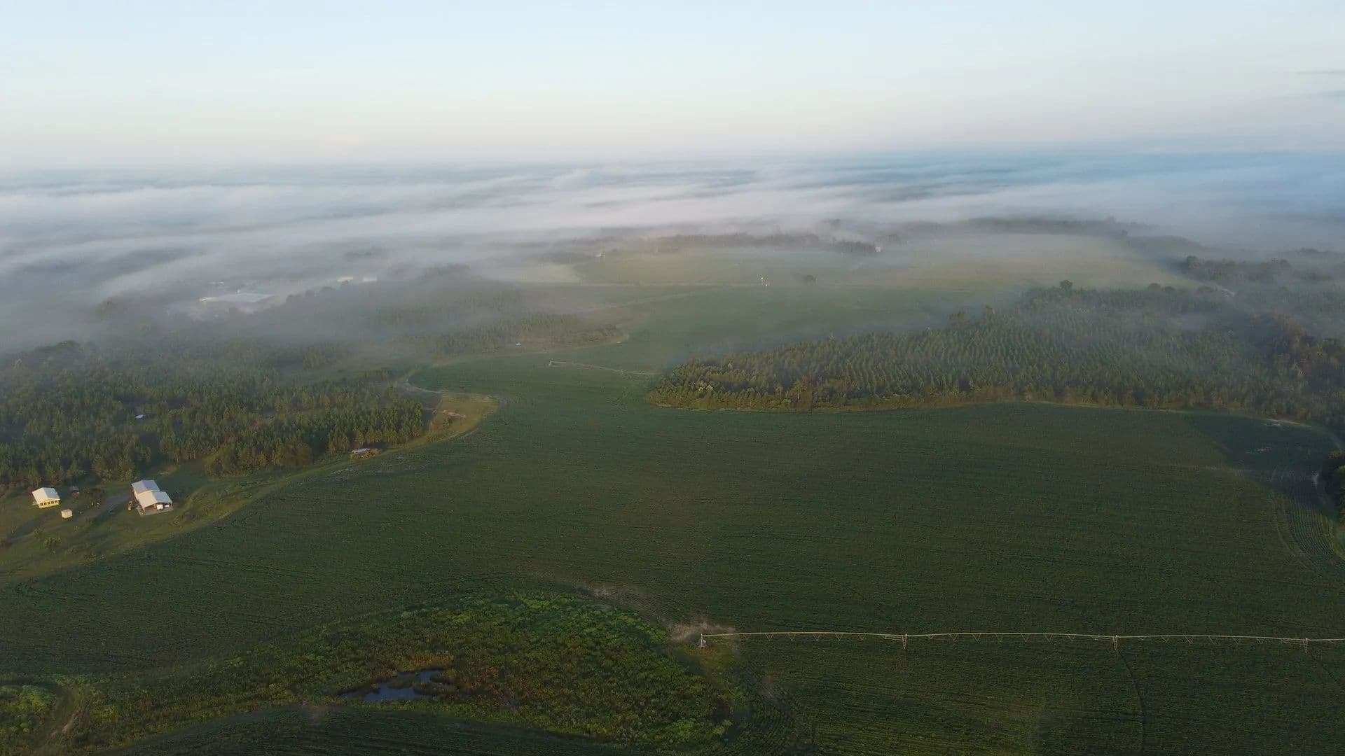 Deep Creek Farm - Ashburn, Georgia, 31714