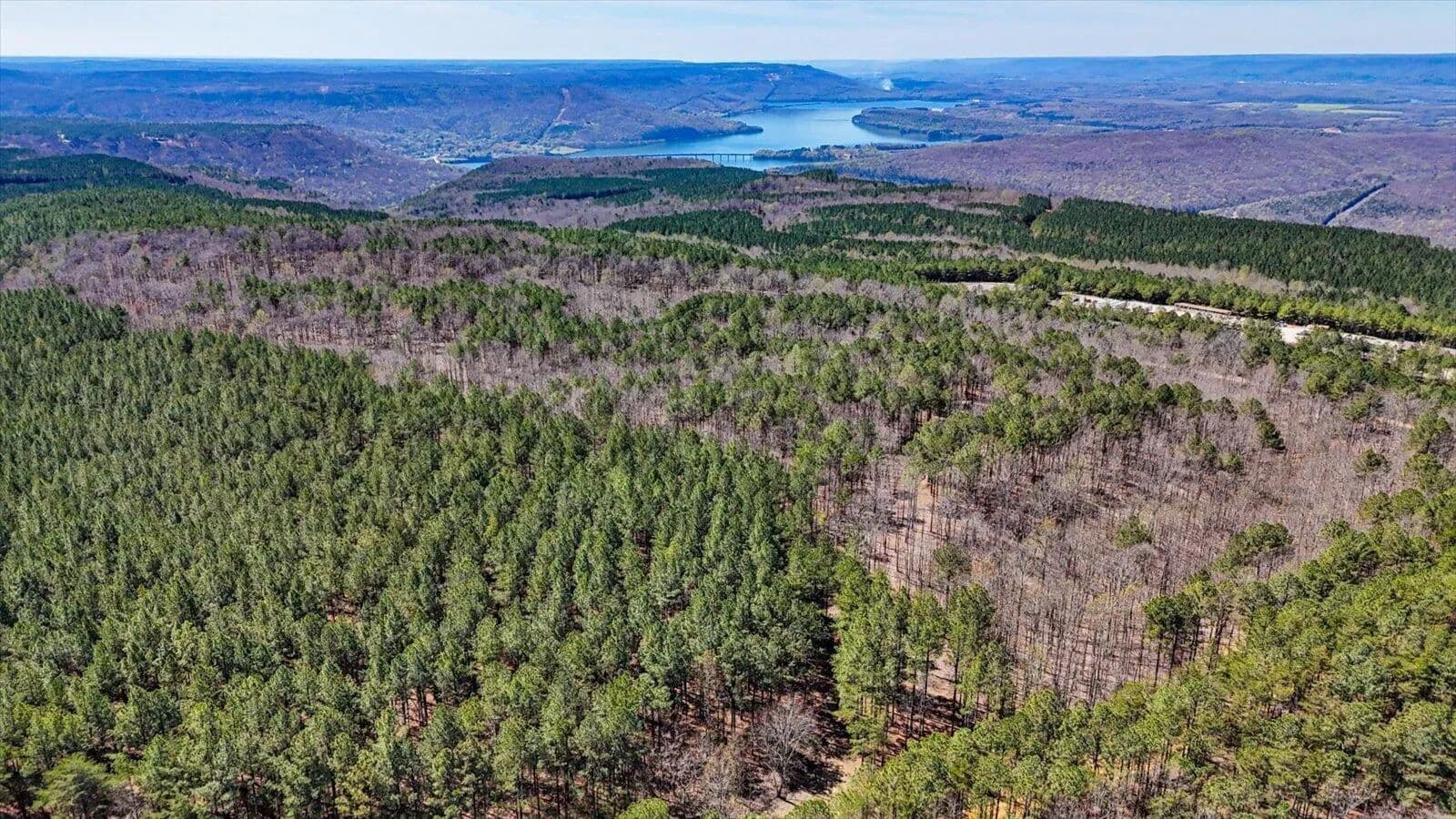 Vacant Land in Guild - Guild, Tennessee, 37340