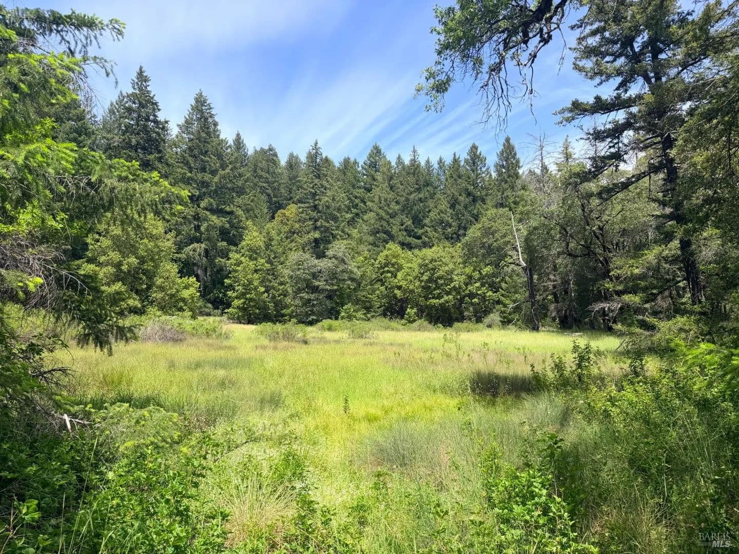 Property from Registered Guest Road - KW - Laytonville, California, 95454