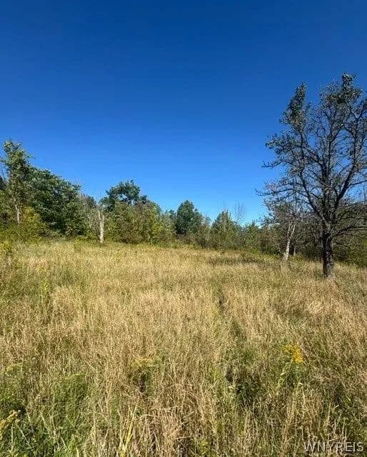 Lots & Land-Other in Colden - Colden, New York, 14033