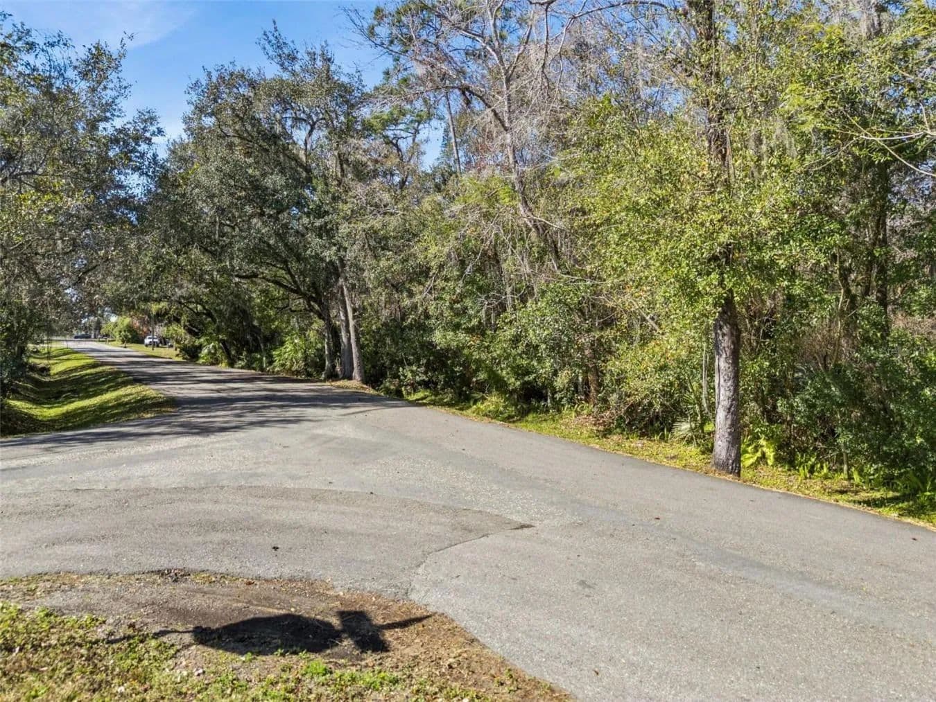1002 Buist Street - land for sale