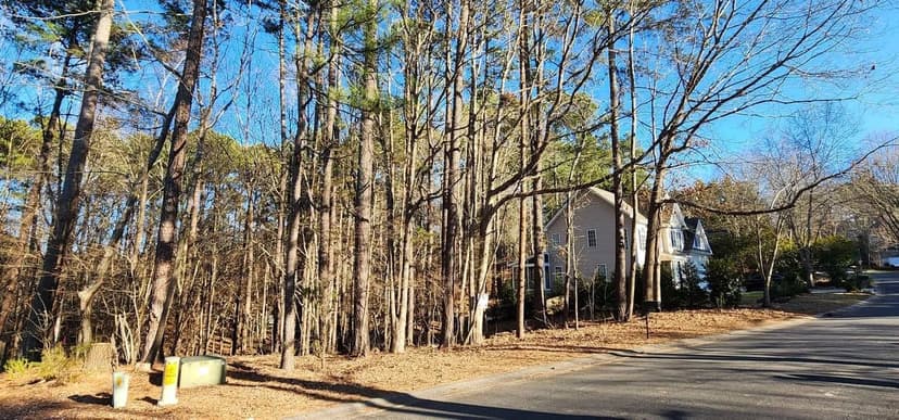 +/- .39ac - 11176 Water Trace Drive Fort Mill SC - York Co