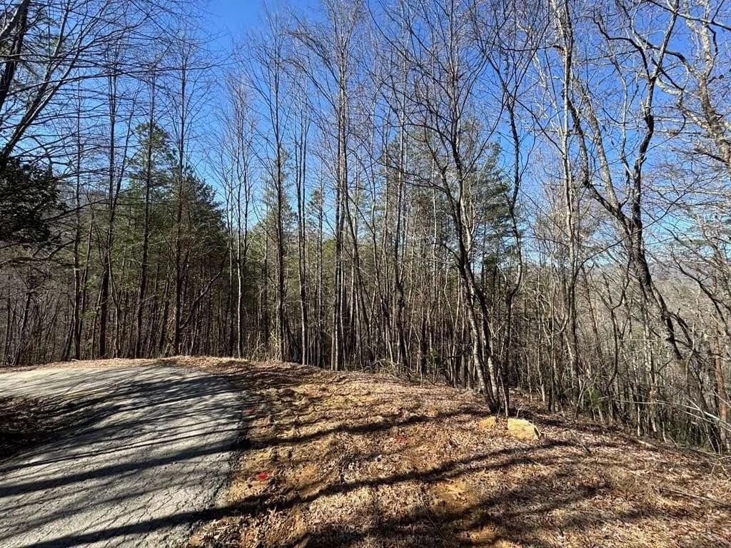 Lots & Land-Other in Hayesville - Hayesville, North Carolina, 28904