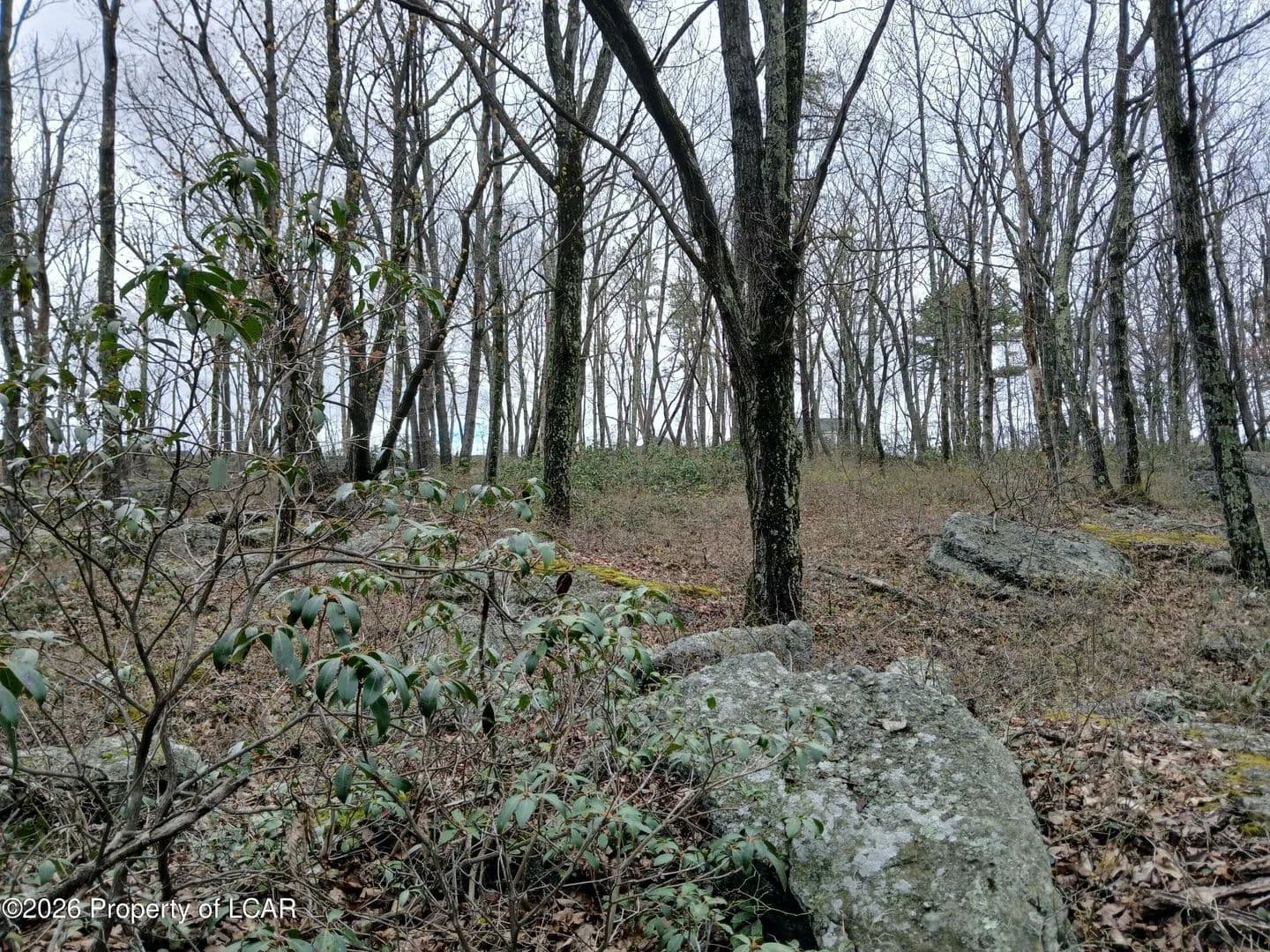 Lots & Land-Other in Harleigh - Harleigh, Pennsylvania, 18202