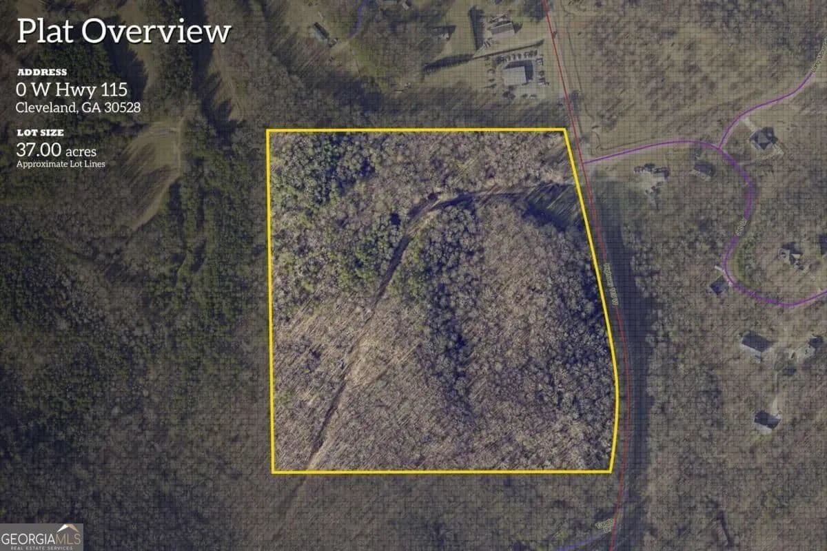 Vacant Land in Cleveland - Cleveland, Georgia, 30528