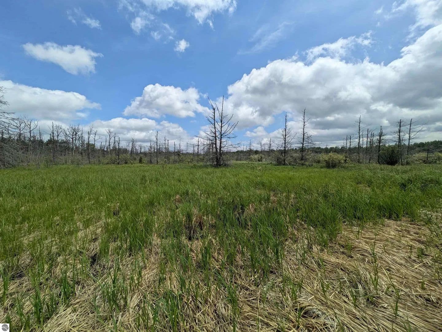 Vacant Land in Pickford - Pickford, Michigan, 49774