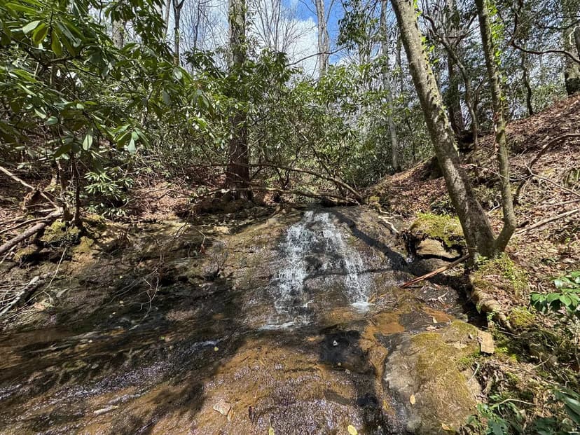 17 +/- Acres- White County, Georgia