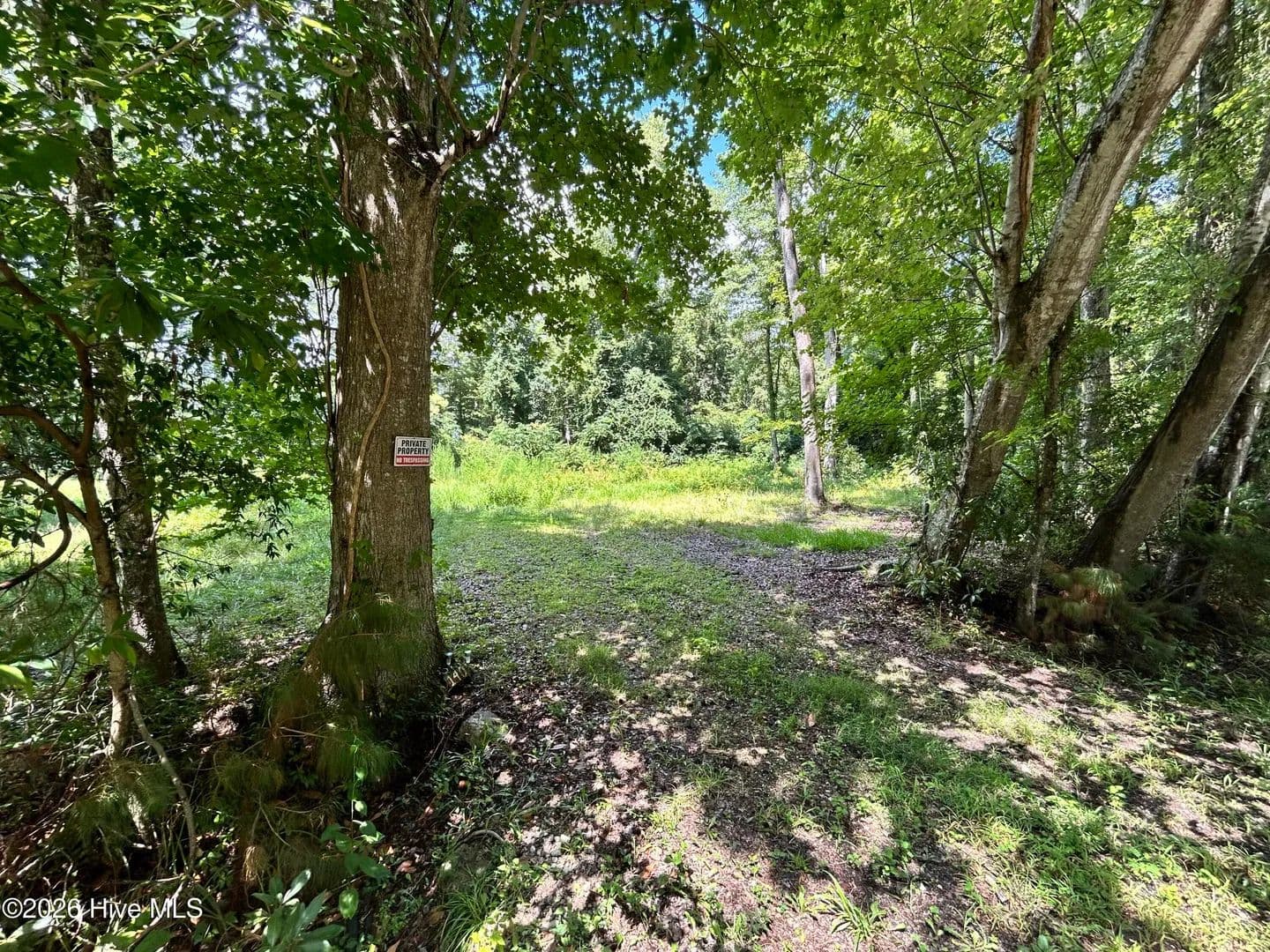 Vacant Land in Newport - Newport, North Carolina, 28570