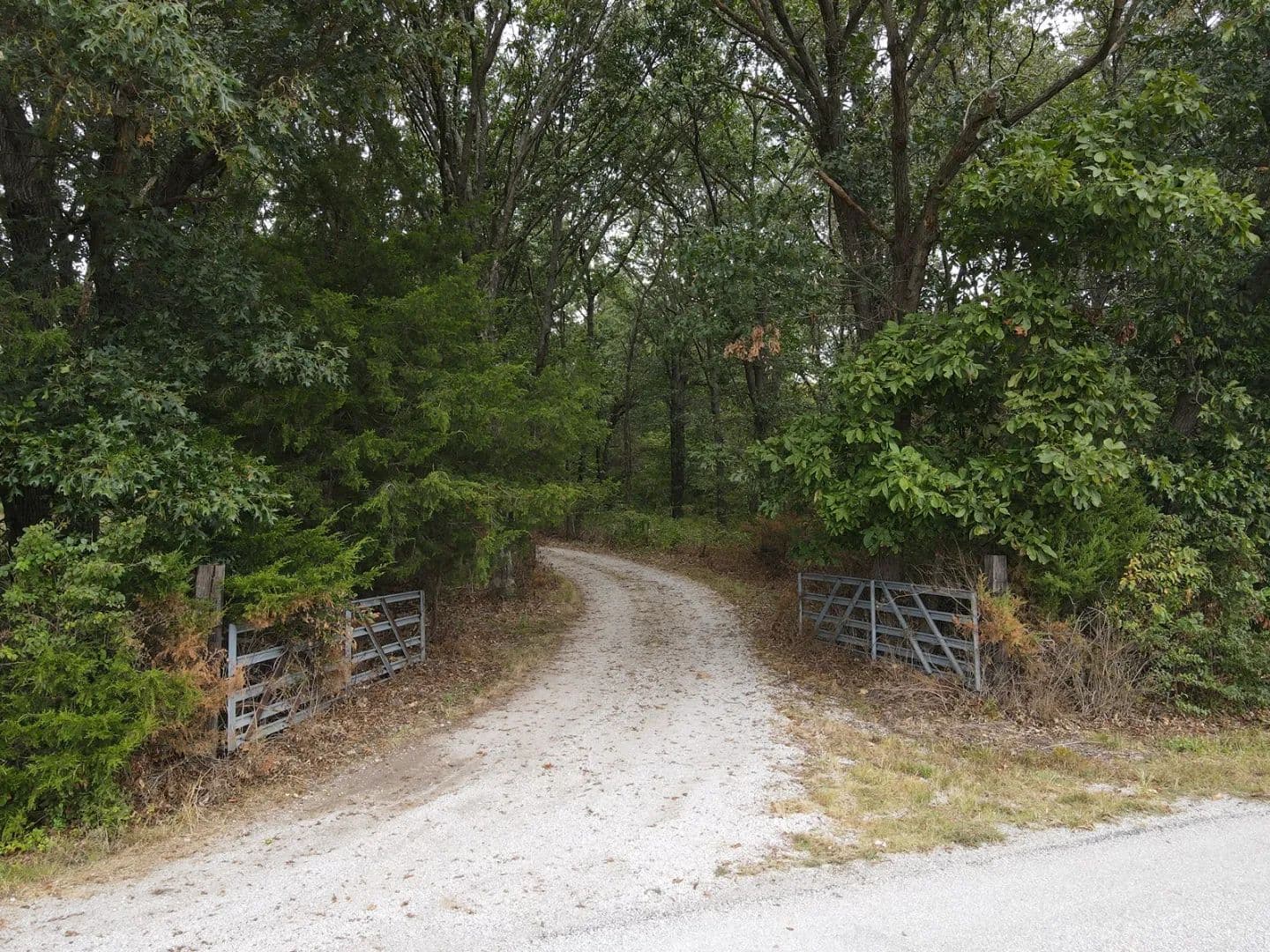 Secluded 40±-Acre Timber Tract with Pole Building, & Prime Hunting – Montgomery County - Walshville, Illinois, 62091