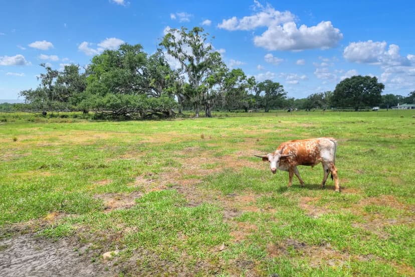 S County Road 39 Acreage Homesites Lot 2