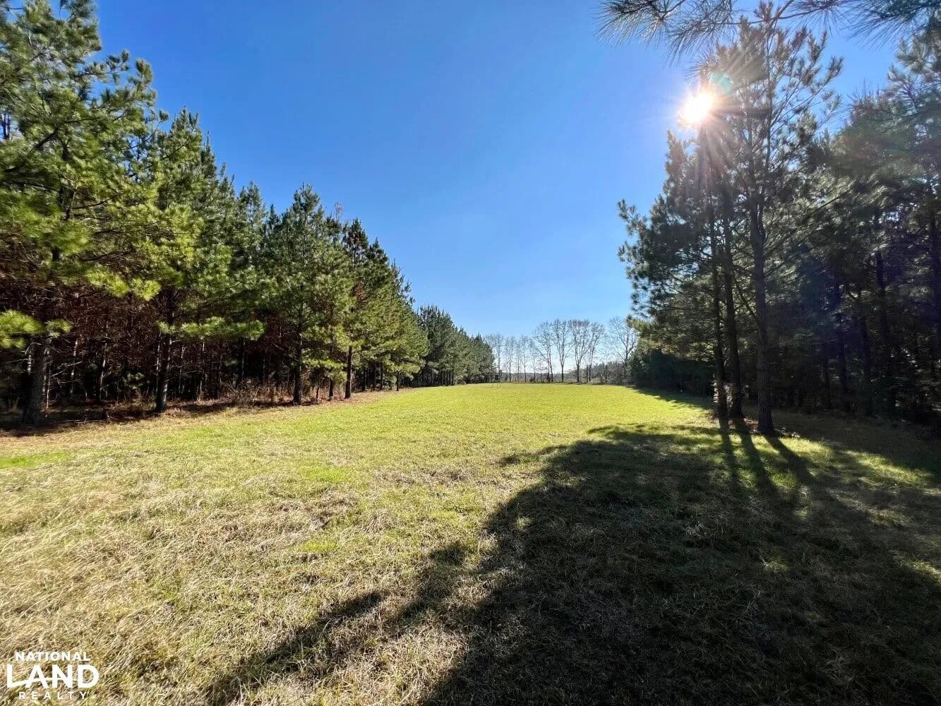 Tyler Soapstone Creek Tract - Tyler, Alabama, 36785
